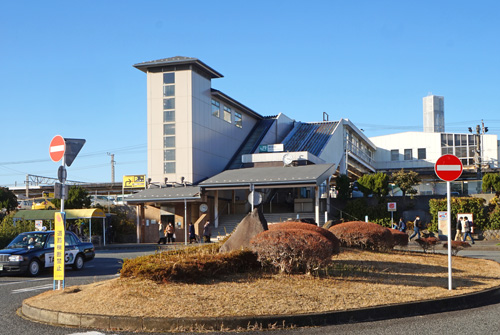 ミナカモ(南鴨)